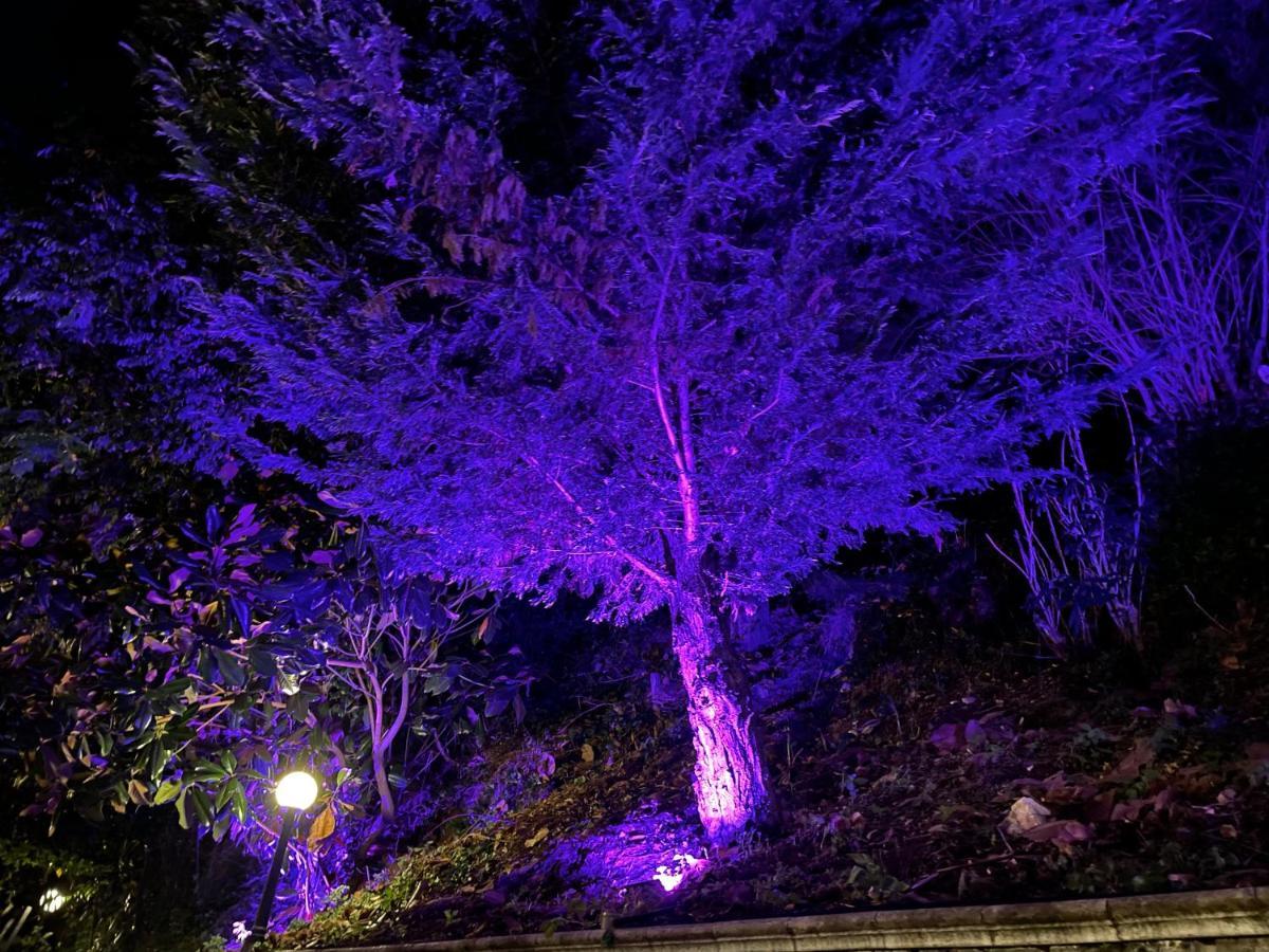 La Contessa B&B Mercogliano Luaran gambar